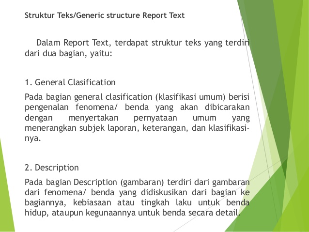 Struktur Report Text Lasopayour